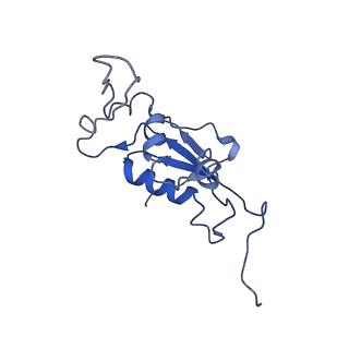 0659_6o8z_K_v1-1
Cryo-EM image reconstruction of the 70S Ribosome Enterococcus faecalis Class04