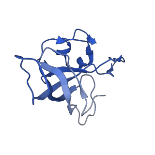 0659_6o8z_L_v1-1
Cryo-EM image reconstruction of the 70S Ribosome Enterococcus faecalis Class04