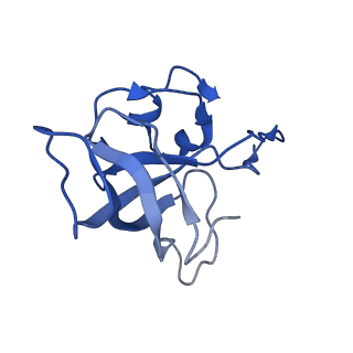 0659_6o8z_L_v1-2
Cryo-EM image reconstruction of the 70S Ribosome Enterococcus faecalis Class04