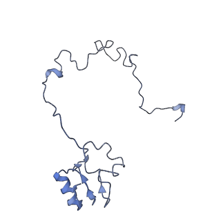 0659_6o8z_M_v1-1
Cryo-EM image reconstruction of the 70S Ribosome Enterococcus faecalis Class04
