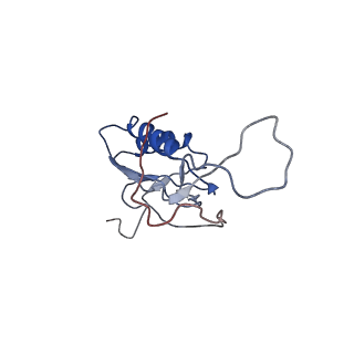 0659_6o8z_N_v1-1
Cryo-EM image reconstruction of the 70S Ribosome Enterococcus faecalis Class04