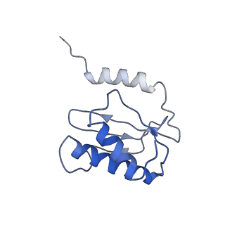 0659_6o8z_P_v1-2
Cryo-EM image reconstruction of the 70S Ribosome Enterococcus faecalis Class04