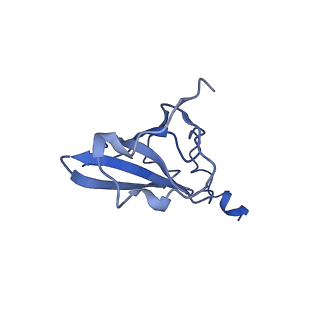 0659_6o8z_Q_v1-1
Cryo-EM image reconstruction of the 70S Ribosome Enterococcus faecalis Class04