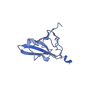 0659_6o8z_Q_v1-2
Cryo-EM image reconstruction of the 70S Ribosome Enterococcus faecalis Class04