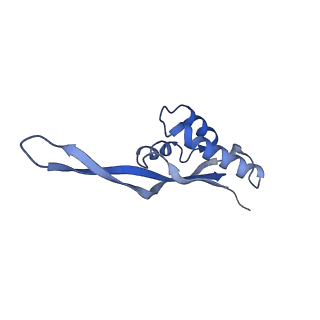 0659_6o8z_T_v1-2
Cryo-EM image reconstruction of the 70S Ribosome Enterococcus faecalis Class04