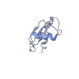 0659_6o8z_U_v1-1
Cryo-EM image reconstruction of the 70S Ribosome Enterococcus faecalis Class04
