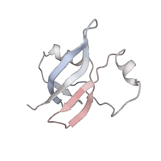 0659_6o8z_W_v1-2
Cryo-EM image reconstruction of the 70S Ribosome Enterococcus faecalis Class04