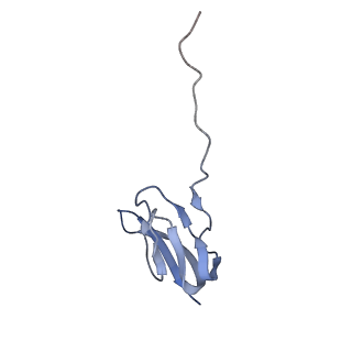 0659_6o8z_X_v1-1
Cryo-EM image reconstruction of the 70S Ribosome Enterococcus faecalis Class04
