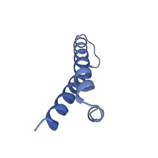 0659_6o8z_Z_v1-2
Cryo-EM image reconstruction of the 70S Ribosome Enterococcus faecalis Class04