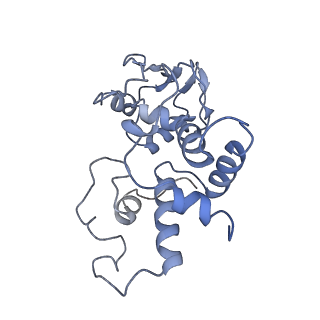 0659_6o8z_d_v1-2
Cryo-EM image reconstruction of the 70S Ribosome Enterococcus faecalis Class04