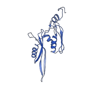 0659_6o8z_e_v1-2
Cryo-EM image reconstruction of the 70S Ribosome Enterococcus faecalis Class04