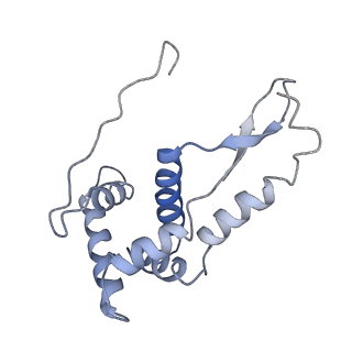 0659_6o8z_g_v1-2
Cryo-EM image reconstruction of the 70S Ribosome Enterococcus faecalis Class04