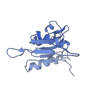 0659_6o8z_h_v1-1
Cryo-EM image reconstruction of the 70S Ribosome Enterococcus faecalis Class04