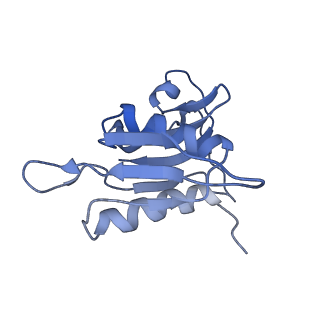 0659_6o8z_h_v1-2
Cryo-EM image reconstruction of the 70S Ribosome Enterococcus faecalis Class04
