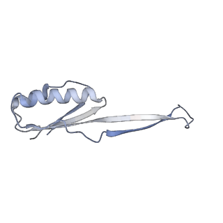 0659_6o8z_j_v1-2
Cryo-EM image reconstruction of the 70S Ribosome Enterococcus faecalis Class04