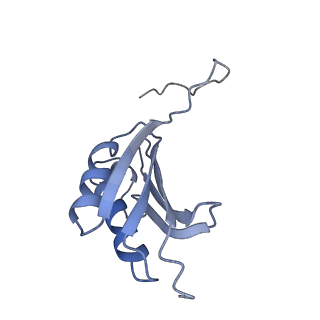 0659_6o8z_k_v1-2
Cryo-EM image reconstruction of the 70S Ribosome Enterococcus faecalis Class04