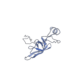 0659_6o8z_l_v1-2
Cryo-EM image reconstruction of the 70S Ribosome Enterococcus faecalis Class04