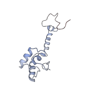 0659_6o8z_m_v1-2
Cryo-EM image reconstruction of the 70S Ribosome Enterococcus faecalis Class04