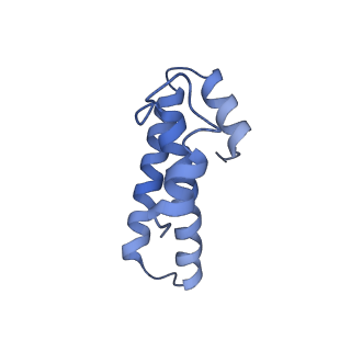 0659_6o8z_o_v1-2
Cryo-EM image reconstruction of the 70S Ribosome Enterococcus faecalis Class04