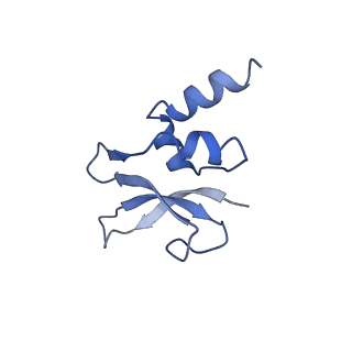 0659_6o8z_p_v1-2
Cryo-EM image reconstruction of the 70S Ribosome Enterococcus faecalis Class04