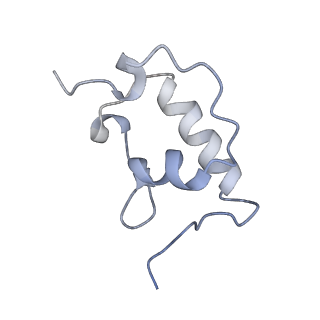 0659_6o8z_r_v1-2
Cryo-EM image reconstruction of the 70S Ribosome Enterococcus faecalis Class04