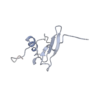 0659_6o8z_s_v1-1
Cryo-EM image reconstruction of the 70S Ribosome Enterococcus faecalis Class04