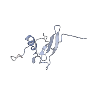 0659_6o8z_s_v1-2
Cryo-EM image reconstruction of the 70S Ribosome Enterococcus faecalis Class04