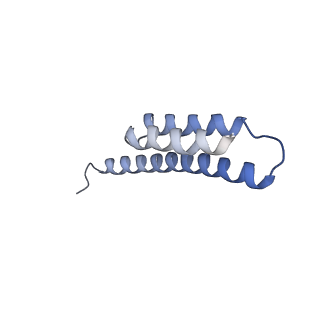 0659_6o8z_t_v1-2
Cryo-EM image reconstruction of the 70S Ribosome Enterococcus faecalis Class04