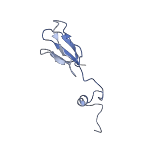12758_7o80_AA_v1-3
Rabbit 80S ribosome in complex with eRF1 and ABCE1 stalled at the STOP codon in the mutated SARS-CoV-2 slippery site