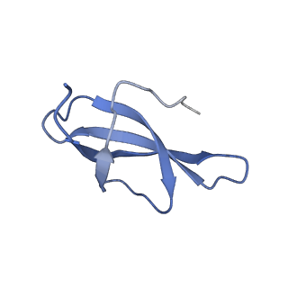 12758_7o80_AB_v1-3
Rabbit 80S ribosome in complex with eRF1 and ABCE1 stalled at the STOP codon in the mutated SARS-CoV-2 slippery site