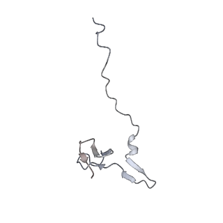 12758_7o80_AC_v1-3
Rabbit 80S ribosome in complex with eRF1 and ABCE1 stalled at the STOP codon in the mutated SARS-CoV-2 slippery site