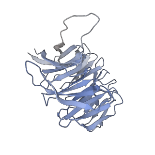 12758_7o80_AF_v1-3
Rabbit 80S ribosome in complex with eRF1 and ABCE1 stalled at the STOP codon in the mutated SARS-CoV-2 slippery site