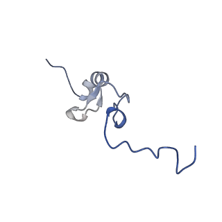 12758_7o80_AG_v1-3
Rabbit 80S ribosome in complex with eRF1 and ABCE1 stalled at the STOP codon in the mutated SARS-CoV-2 slippery site