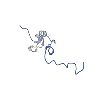 12758_7o80_AG_v3-0
Rabbit 80S ribosome in complex with eRF1 and ABCE1 stalled at the STOP codon in the mutated SARS-CoV-2 slippery site