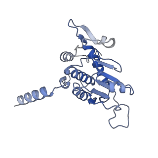 12758_7o80_AZ_v1-3
Rabbit 80S ribosome in complex with eRF1 and ABCE1 stalled at the STOP codon in the mutated SARS-CoV-2 slippery site
