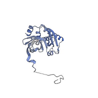 12758_7o80_Aa_v1-3
Rabbit 80S ribosome in complex with eRF1 and ABCE1 stalled at the STOP codon in the mutated SARS-CoV-2 slippery site
