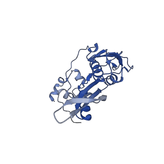 12758_7o80_Ab_v1-3
Rabbit 80S ribosome in complex with eRF1 and ABCE1 stalled at the STOP codon in the mutated SARS-CoV-2 slippery site