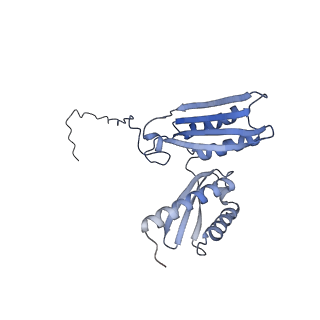 12758_7o80_Ac_v3-0
Rabbit 80S ribosome in complex with eRF1 and ABCE1 stalled at the STOP codon in the mutated SARS-CoV-2 slippery site