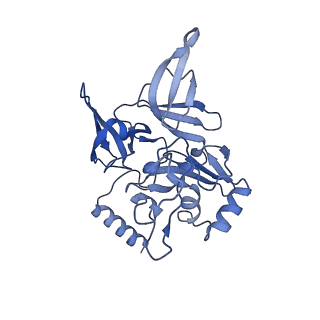 12758_7o80_Ad_v1-3
Rabbit 80S ribosome in complex with eRF1 and ABCE1 stalled at the STOP codon in the mutated SARS-CoV-2 slippery site