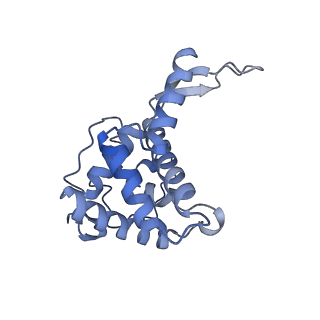 12758_7o80_Ae_v1-3
Rabbit 80S ribosome in complex with eRF1 and ABCE1 stalled at the STOP codon in the mutated SARS-CoV-2 slippery site