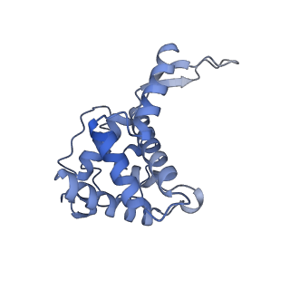12758_7o80_Ae_v3-0
Rabbit 80S ribosome in complex with eRF1 and ABCE1 stalled at the STOP codon in the mutated SARS-CoV-2 slippery site