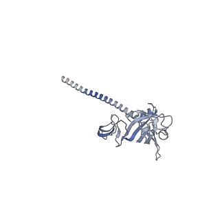 12758_7o80_Af_v1-3
Rabbit 80S ribosome in complex with eRF1 and ABCE1 stalled at the STOP codon in the mutated SARS-CoV-2 slippery site