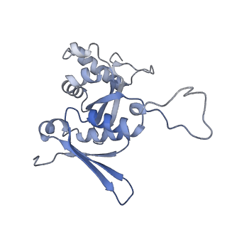 12758_7o80_Ag_v1-3
Rabbit 80S ribosome in complex with eRF1 and ABCE1 stalled at the STOP codon in the mutated SARS-CoV-2 slippery site