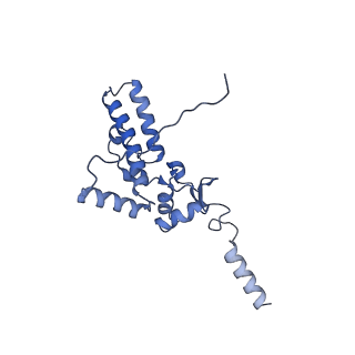 12758_7o80_Ai_v1-3
Rabbit 80S ribosome in complex with eRF1 and ABCE1 stalled at the STOP codon in the mutated SARS-CoV-2 slippery site