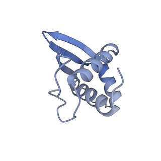 12758_7o80_Aj_v1-3
Rabbit 80S ribosome in complex with eRF1 and ABCE1 stalled at the STOP codon in the mutated SARS-CoV-2 slippery site