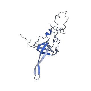 12758_7o80_Ak_v1-3
Rabbit 80S ribosome in complex with eRF1 and ABCE1 stalled at the STOP codon in the mutated SARS-CoV-2 slippery site
