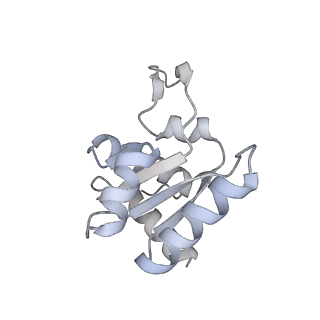 12758_7o80_Al_v1-3
Rabbit 80S ribosome in complex with eRF1 and ABCE1 stalled at the STOP codon in the mutated SARS-CoV-2 slippery site