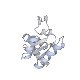 12758_7o80_Al_v3-0
Rabbit 80S ribosome in complex with eRF1 and ABCE1 stalled at the STOP codon in the mutated SARS-CoV-2 slippery site