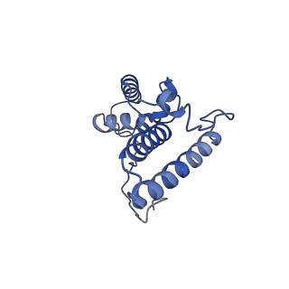 12758_7o80_Am_v1-3
Rabbit 80S ribosome in complex with eRF1 and ABCE1 stalled at the STOP codon in the mutated SARS-CoV-2 slippery site