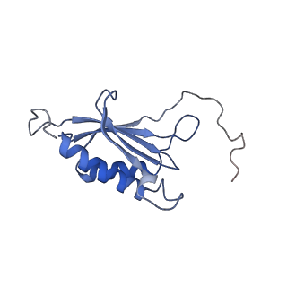 12758_7o80_An_v1-3
Rabbit 80S ribosome in complex with eRF1 and ABCE1 stalled at the STOP codon in the mutated SARS-CoV-2 slippery site